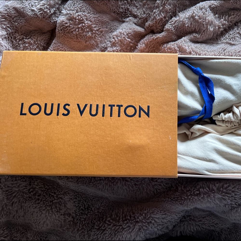 Louis Vuitton sneakers